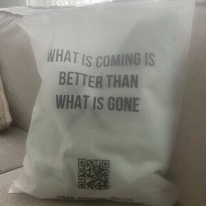 Comfrt large airplane Hoodie NWT